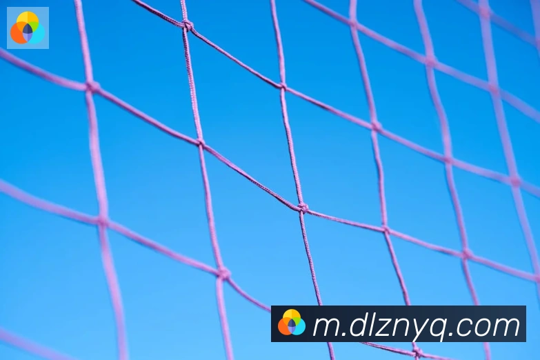 华体app登录入口品牌故事