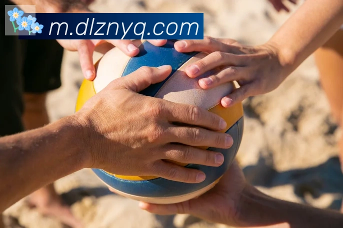 华体app登录入口服务体系