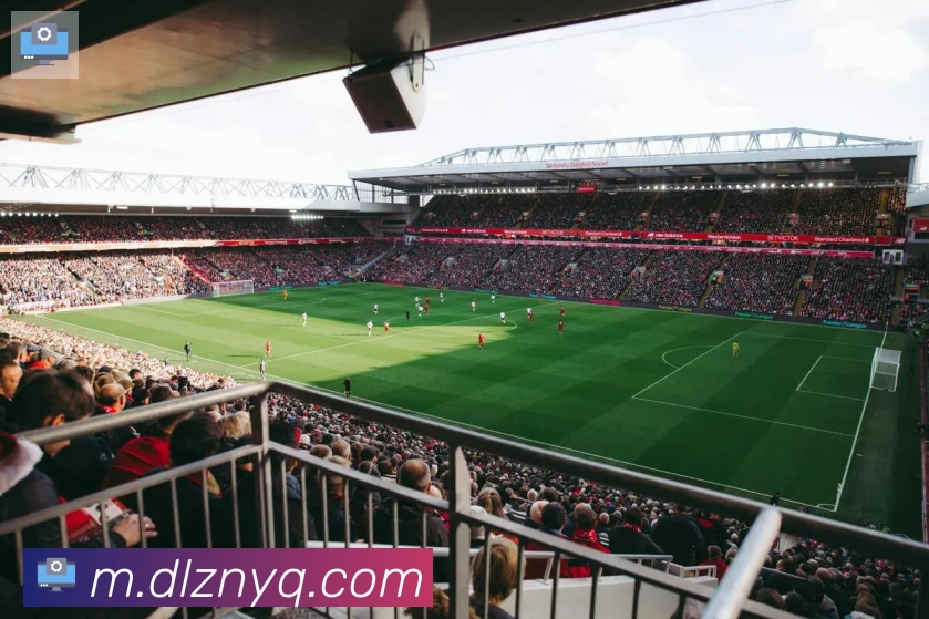 华体app登录入口荣誉