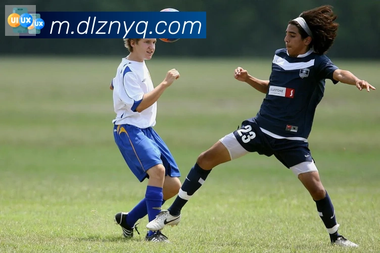 华体app登录入口荣誉